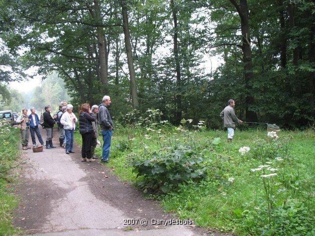 2007 08 Mare aux canes 17